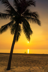 Fototapeta na wymiar Silhouette palm tree, father and his son standing view at the sea during sunrise