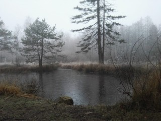 See an einem frostigen Morgen