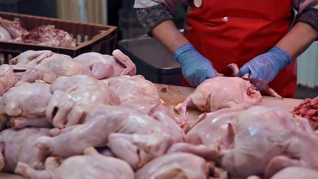 the poultry processing in food industry