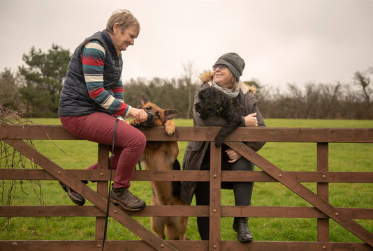 Two mature woman with dogs relaxing outdoors 