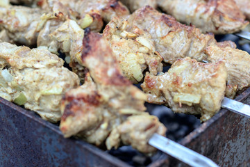 picnic. small grill. on it is cooking kebabs. shallow depth of cut. smoke and frying are real