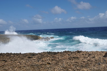 Sea Shore