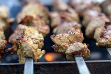 picnic. small grill. on it is cooking kebabs. shallow depth of cut. smoke and frying are real