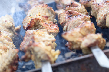 picnic. small grill. on it is cooking kebabs. shallow depth of cut. smoke and frying are real