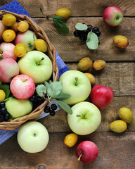 Rustic garden apples, plums, black chokeberry on a rough table, top view.