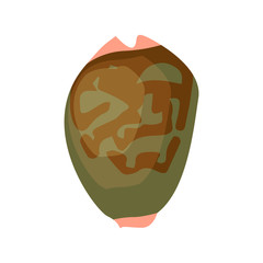 Dark green sea shell illustration. Mollusc, ocean, decoration. Nature concept. Vector illustration can be used for topics like ocean, sea, design, decoration