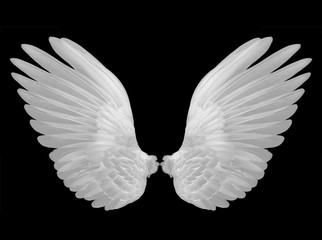 Fototapeta na wymiar white wings on black background