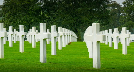 7728_Lots_of_white_crosses_in_the_cemetery.jpg