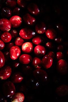 Fresh Cranberries Close-Up