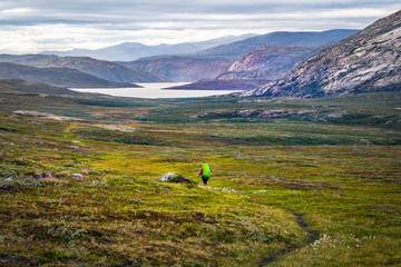 Hiker walking the Arctic Circle Trail (ACT), Greenland © Tomas Zavadil