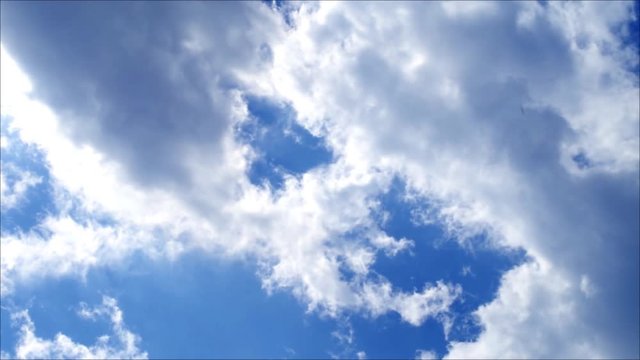 bright blue sky with dense clouds adn small flying insects view