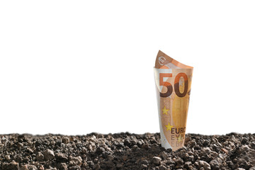 Image of EURO money banknote on top of soil for business, saving, growth, economic concept isolated on white background