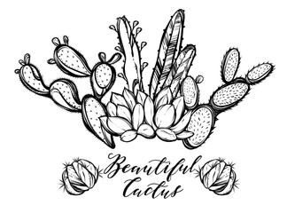 Vector illustration. Beautiful cactus. Handmade. Tattoos, prints on T-shirts, postcard for you, background white