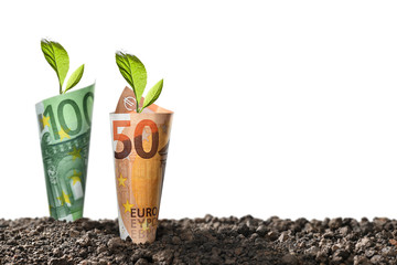 Image of EURO money banknotes with plant growing on top for business, saving, growth, economic concept isolated on white background