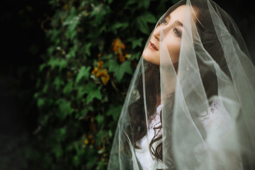 Closeup shot of elegant, brunette bride posing under veil closeup. Bride portrait wedding makeup...