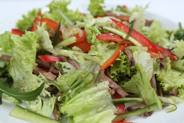 restaurant dish, green salad with cucumbers, red pepper, bacon and arugula, healthy food, close-up, for the menu