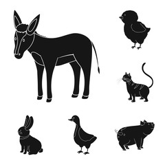 Isolated object of ranch  and organic  icon. Set of ranch  and food vector icon for stock.