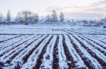 May, the farm is snow-covered planting