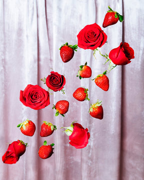 Floating strawberries and red roses with pink velvet