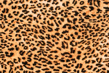 Tuinposter A picture of the wool of the leopard on the fabric. Close up leopard spot pattern texture background © Мар'ян Філь