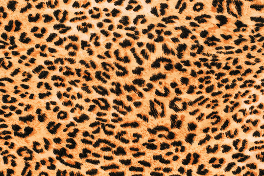 A picture of the wool of the leopard on the fabric. Close up leopard spot pattern texture background