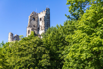 Ruine Burg Drachenfels mit Bäumen im Sommer