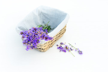 Fresh lavender in straw basket on white wooden background.