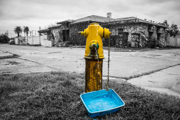 fire hydrant