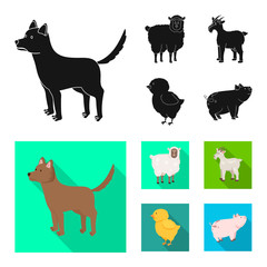 Vector design of breeding and kitchen  logo. Collection of breeding and organic  stock vector illustration.