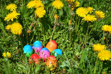 Easter eggs in the grass