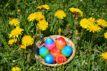 Easter eggs in the grass
