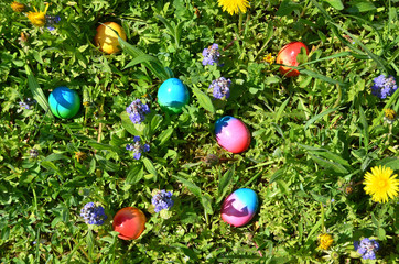 Easter eggs in the grass