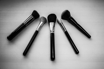 Obraz premium a set of professional makeup brushes