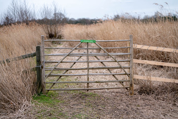 wooden fence in the field
