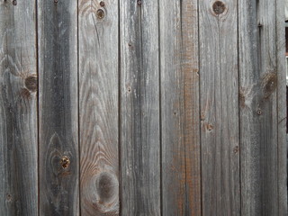 Grunge background. Peeling paint on an old wooden fence