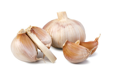 Garlic