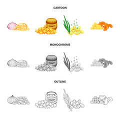 Isolated object of taste and seasonin symbol. Set of taste and organic   stock symbol for web.