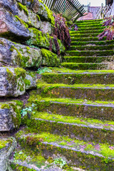 Mystic green moss covered stone stairs