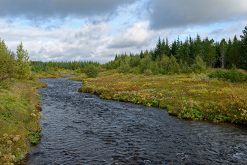 Wildbach in der Nähe des Geysirs, Island