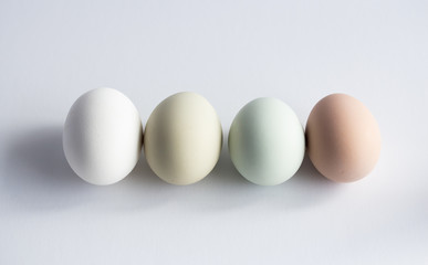 eggs