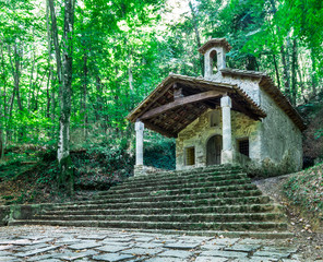 wooden house in the forest