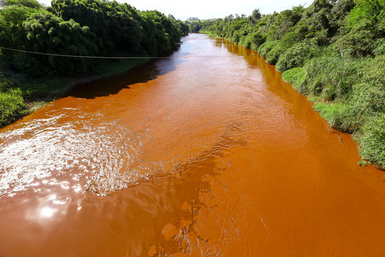Paraopeba River polluted by tailings after the collapse of Dam of the C&oacute;rrego do Feij&atilde;o mine of Vale S.A. in Brumadinho, Minas Gerais, Brazil