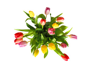Colorful spring tulips. Bouquet of fresh spring tulips isolated on white background, top view