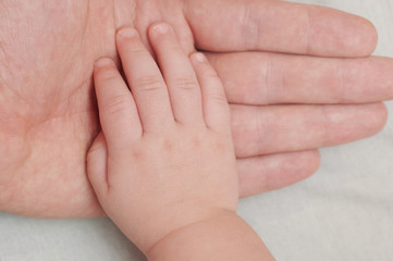 Obraz na płótnie Canvas Baby hand on top of parent palm