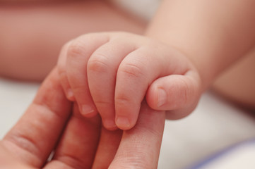 Baby hand on parent palm