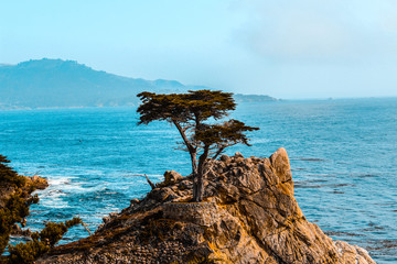 West Coast of America