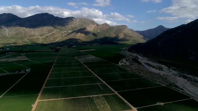 Aerial footage over the vineyards of the Breede Valley, south african wine producing area in the western cape of south africa