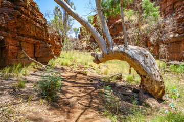 hiking down in weano gorge in karijini national park, western australia 75