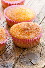 Sweet donuts with icing sugar