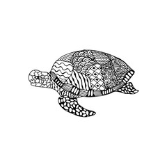 Vector illustration zentangl, turtle with a pointer to Happy floral frame. Doodle drawing.